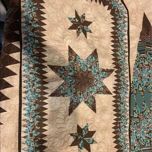 Like new Donna Sharp Quilt King Size with 2 shams